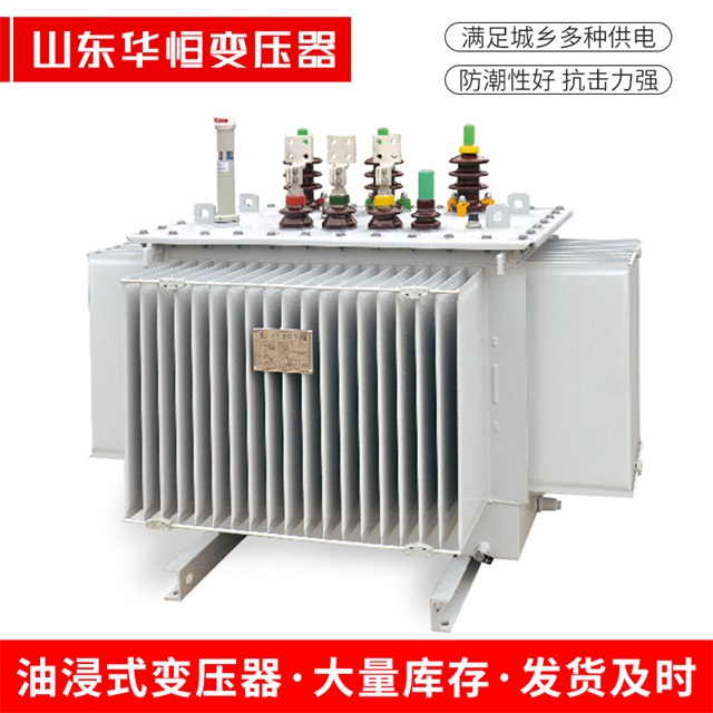 S13-10000/35遂溪遂溪遂溪电力变压器